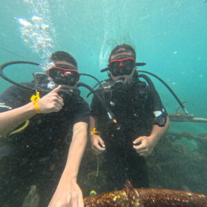 Diving